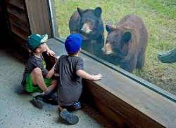 Zoo Miami is an active leader in much global wildl Zoo Miami is an active leader in much global wildlife and environmental conservation initiatives. It has provided financial aid in helping upgrade the